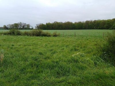 /international/fr/breteuil-upper-normandy-310107298725/