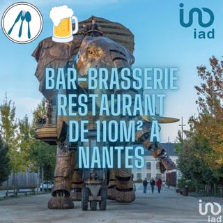 /international/fr/nantes-pays-de-la-loire-310096769334/