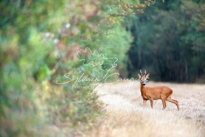 /international/fr/sennely-centre-val-de-loire-120098079824/?lang=zh-tw