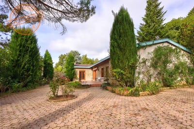 /international/fr/saint-cyr-au-mont-d-or-rhone-310102610263/