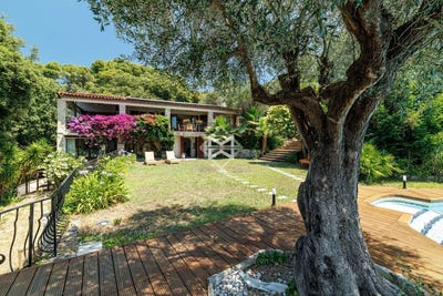 /international/fr/cannes-provence-alpes-cote-d-azur-310109241577/