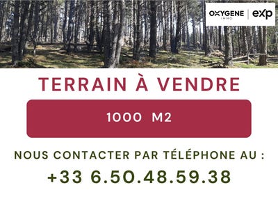 /international/fr/formigueres-languedoc-roussillon-310107888453/