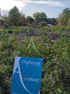 /international/fr/nouan-le-fuzelier-centre-val-de-loire-310104462863/