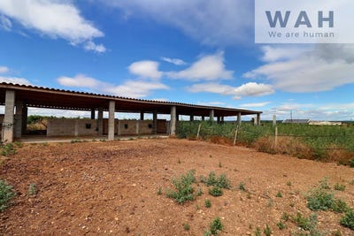 /international/fr/aubord-languedoc-roussillon-310105912871/