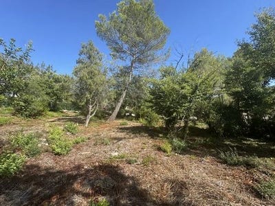 /international/fr/opio-provence-alpes-cote-d-azur-310102399555/