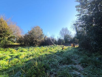 /international/fr/avrille-pays-de-la-loire-310104462337/