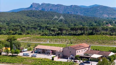 /international/fr/la-motte-provence-alpes-cote-d-azur-310096029377/