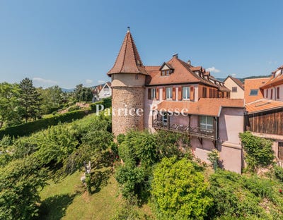 /international/fr/ribeauville-alsace-310108791194/