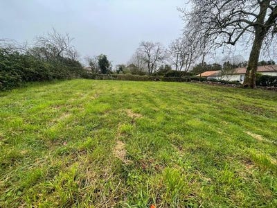 /international/fr/verrines-sous-celles-charente-310099360991/