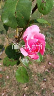 /international/fr/faye-sur-ardin-charente-310101381608/?lang=zh-cn
