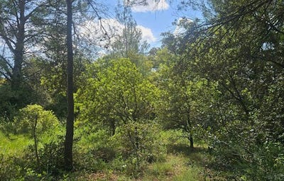 /international/fr/laval-pradel-languedoc-roussillon-310101104764/