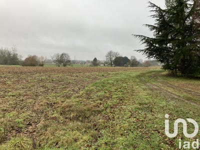/international/fr/mulsanne-pays-de-la-loire-310101322010/