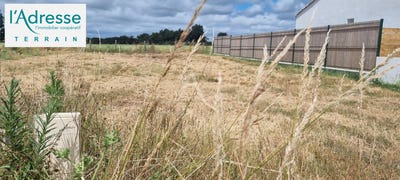 /international/fr/l-aiguillon-sur-vie-pays-de-la-loire-310104463569/