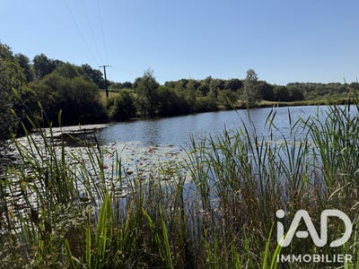 /international/fr/bussiere-galant-limousin-310108948892/