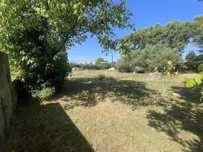 /international/fr/noirmoutier-en-l-ile-pays-de-la-loire-310099622247/