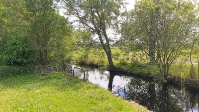 /international/fr/saint-joachim-pays-de-la-loire-120095576356/