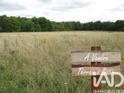 /international/fr/bussac-foret-charente-310108597309/