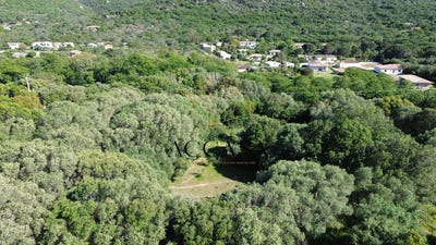 /international/fr/figari-corsica-310108650466/