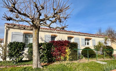 /international/fr/le-fenouiller-pays-de-la-loire-310106824676/