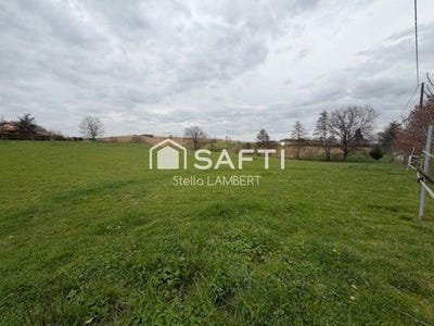 /international/fr/la-magdelaine-sur-tarn-midi-pyrenees-310106196686/