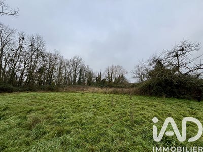 /international/fr/beaulon-auvergne-310104277361/