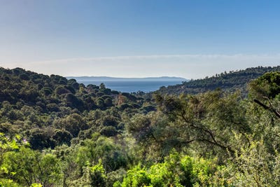 /international/fr/le-lavandou-hh-15590597-le-lavandou-provence-alpes-cote-d-azur-310100959972/