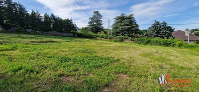 /international/fr/saint-martin-la-plaine-centre-val-de-loire-310101084166/
