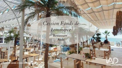 /international/fr/saint-pierre-la-mer-languedoc-roussillon-310105399528/