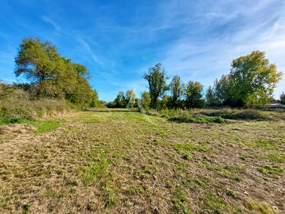 /international/fr/notre-dame-de-monts-pays-de-la-loire-310104462573/