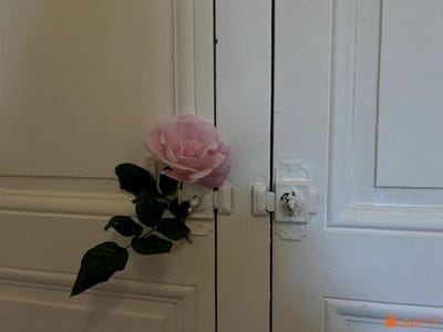 /international/fr/lucon-pays-de-la-loire-310108247522/