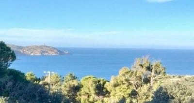/international/fr/calvi-corsica-120097720745/