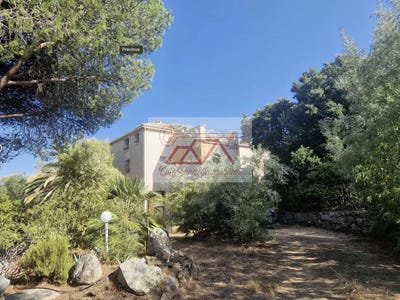 /international/fr/solenzara-corsica-120088134154/?lang=zh-cn