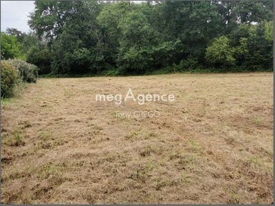 /international/fr/saint-griede-midi-pyrenees-310101378977/?lang=es