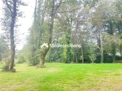 /international/fr/pluvigner-brittany-310099615620/
