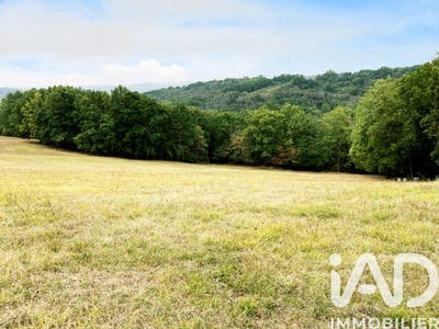 /international/fr/peyzac-le-moustier-aquitaine-310104462668/