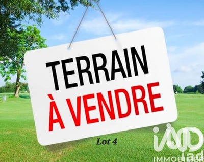 /international/fr/azille-languedoc-roussillon-310107467722/