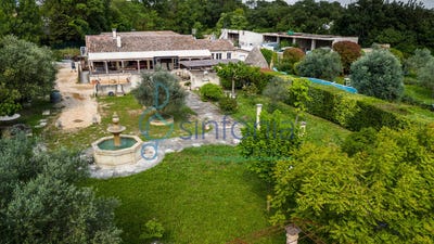 /international/fr/bourdic-languedoc-roussillon-310108839349/
