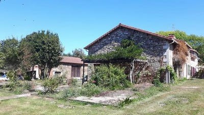 /international/fr/bussiere-poitevine-limousin-120094747561/