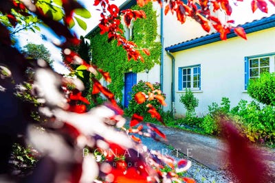 /international/fr/coulonges-sur-l-autize-charente-310108466083/