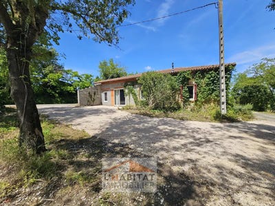 /international/fr/lombez-midi-pyrenees-310099742282/