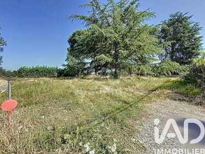 /international/fr/rieumes-midi-pyrenees-310106935675/
