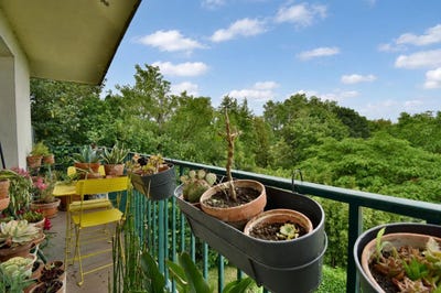 /international/fr/cholet-pays-de-la-loire-310108487145/