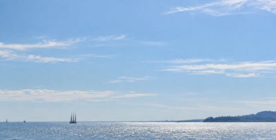 /international/fr/cannes-provence-alpes-cote-d-azur-310110394554/