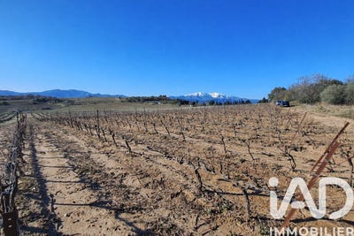 /international/fr/bages-languedoc-roussillon-310104591813/