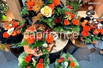 /international/fr/carhaix-plouguer-brittany-310098765804/