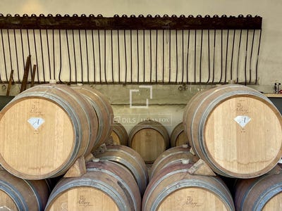 /international/fr/montpellier-languedoc-roussillon-310098699914/