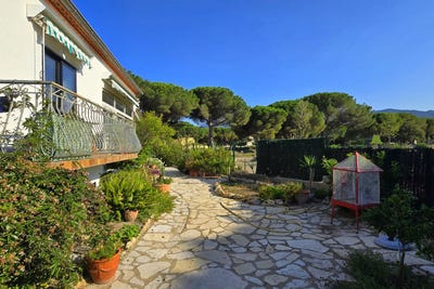 /international/fr/argeles-sur-mer-languedoc-roussillon-310109128599/