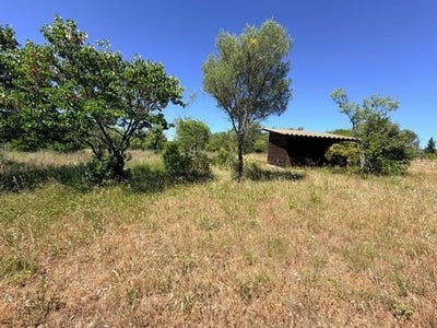 /international/fr/saint-georges-d-orques-languedoc-roussillon-310108704847/