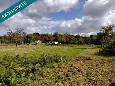 /international/fr/vieux-viel-brittany-310106067455/