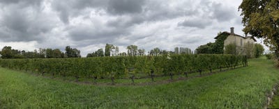 /international/fr/saint-emilion-aquitaine-310103043212/